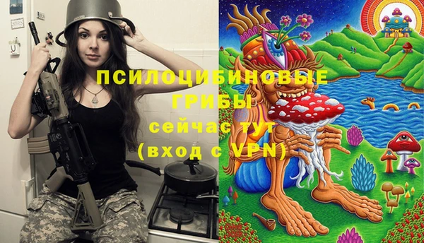 Альфа ПВП Алексеевка