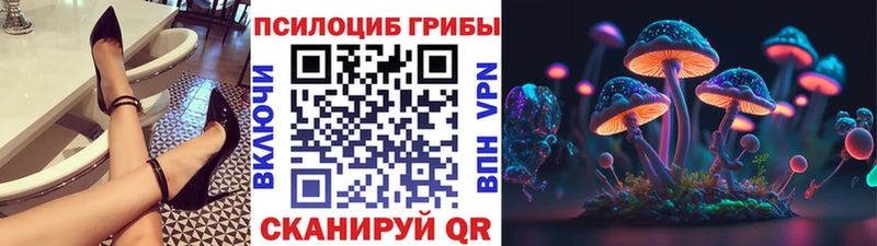 Галлюциногенные грибы Psilocybine cubensis  цена   Махачкала 